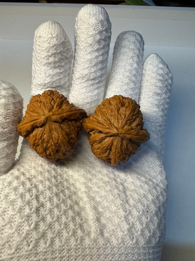 年末セール中！文玩核桃 三角白獅子