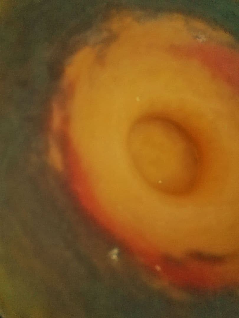 アール・ヌーヴォーコンポートアンティークミューラーヴィトリオフィ