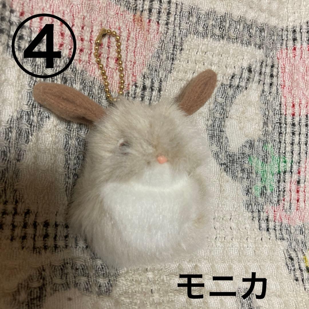 モンスイユ　マスコット　6コセット　中古品