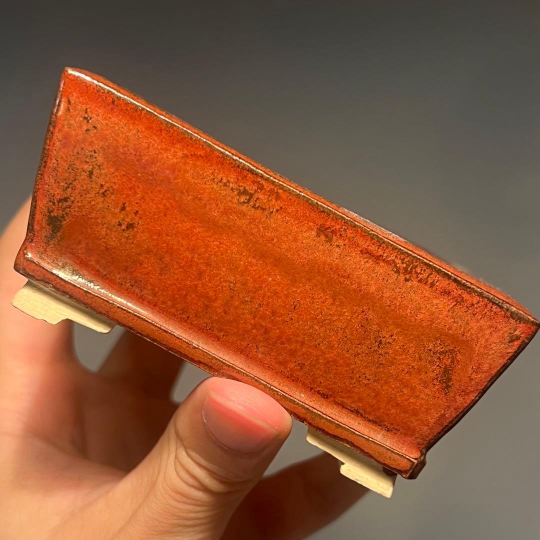 749.桂雲 鉄紅釉段足長方 盆栽鉢 植木鉢 11.5*9.3*4.5cm