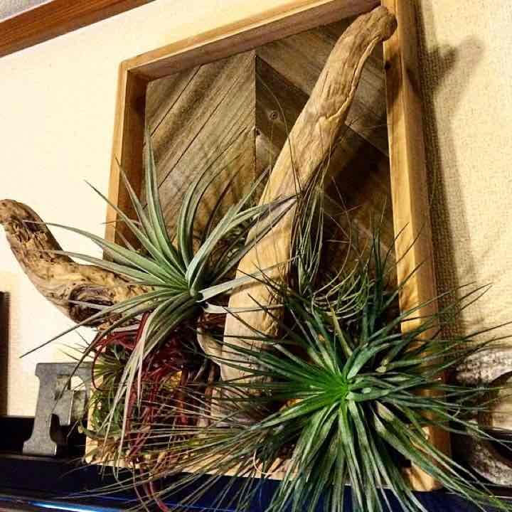 中国古玩 竹細工竹編 大型双耳天球瓶 花瓶。