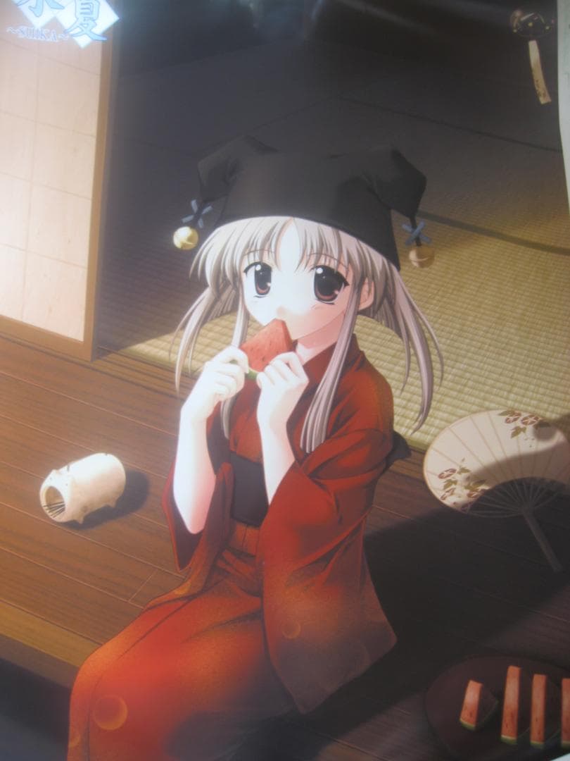 美少女アニメキャラクターソロシリーズポスター５０本セット●入手困難非売品ポスター