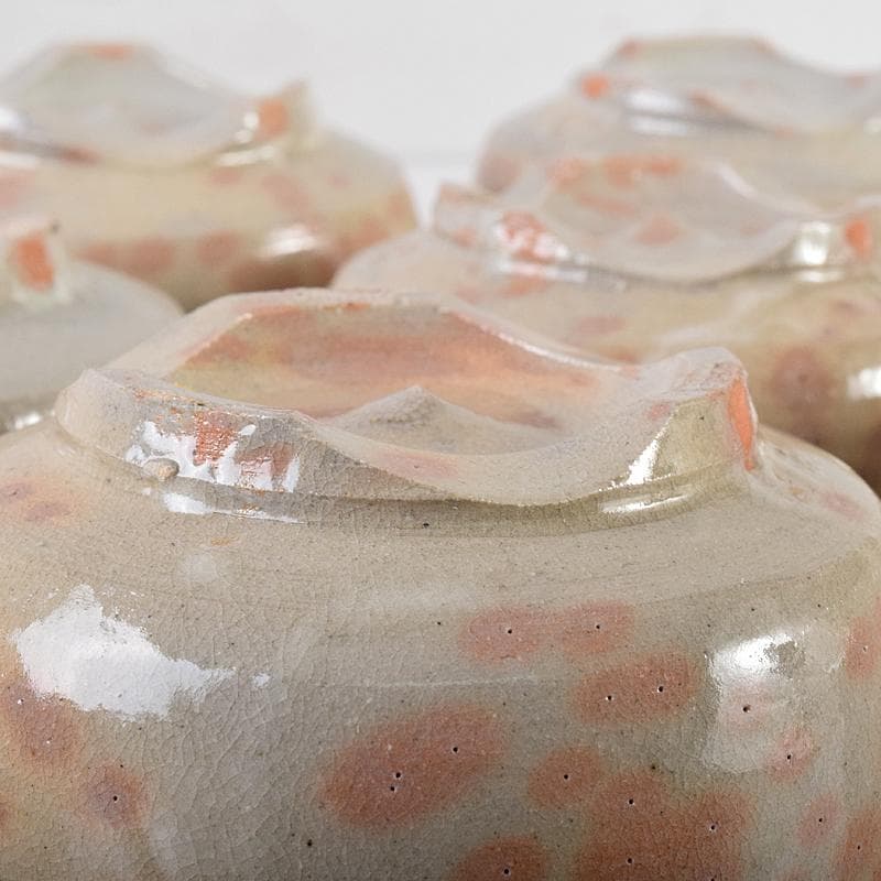 茶道具 赤膚焼 大塩正人造 御本立鶴 数茶碗 八客 共箱 V