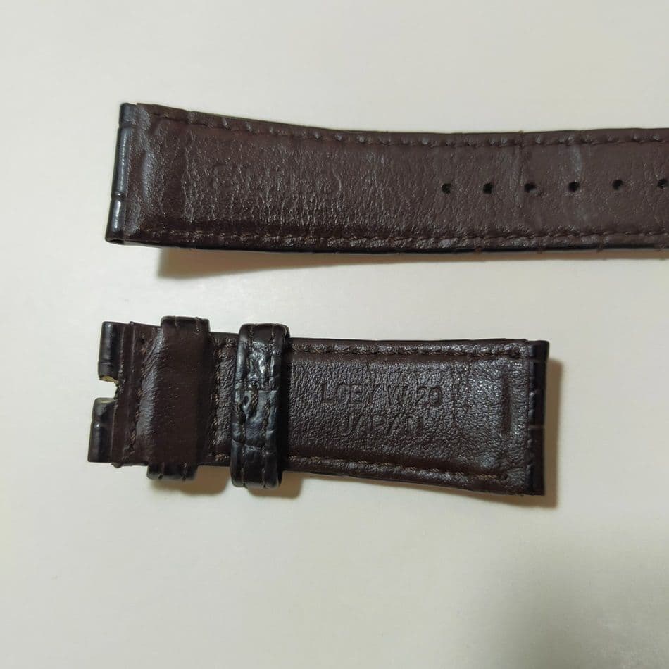 昆虫標本 - うみねこ通販 【Glass Beetleヤマトカブトムシ標本 GB-001】