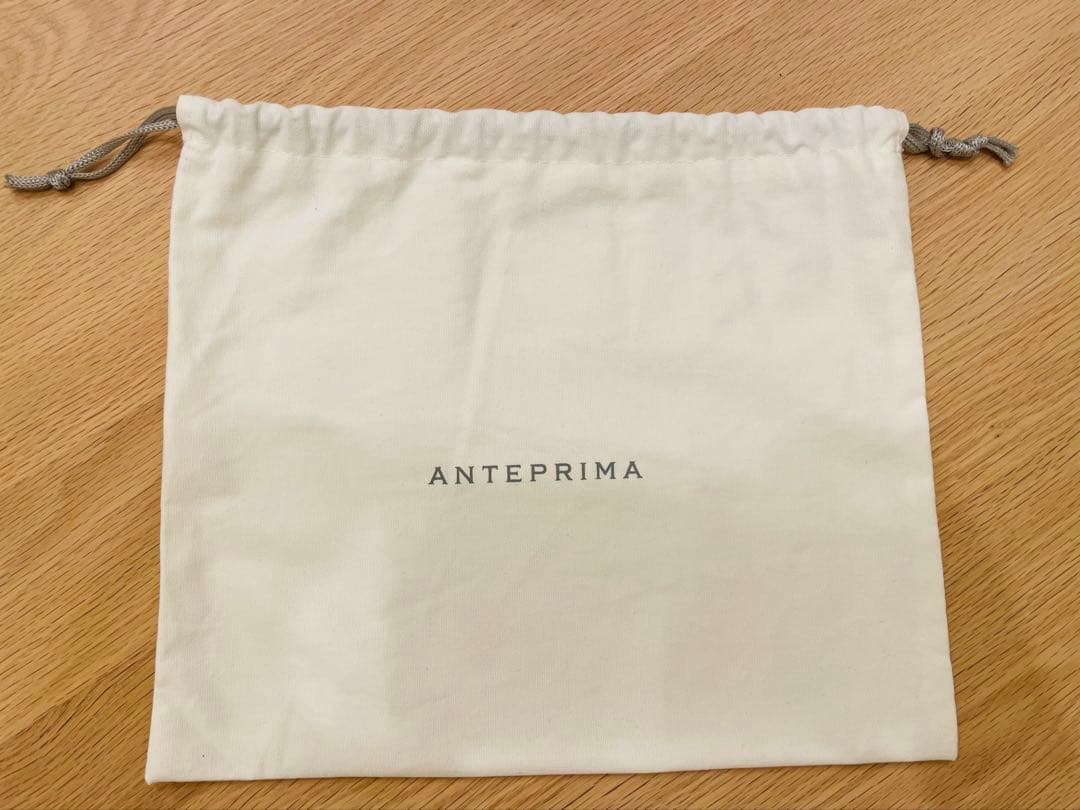 ANTEPRIMA ビーズ パーティーバッグ　アンテプリマ