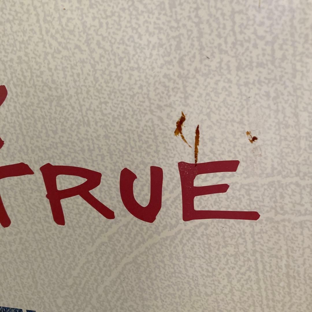 浅井健一 Levi´s 501 ポップ STAY TRUE