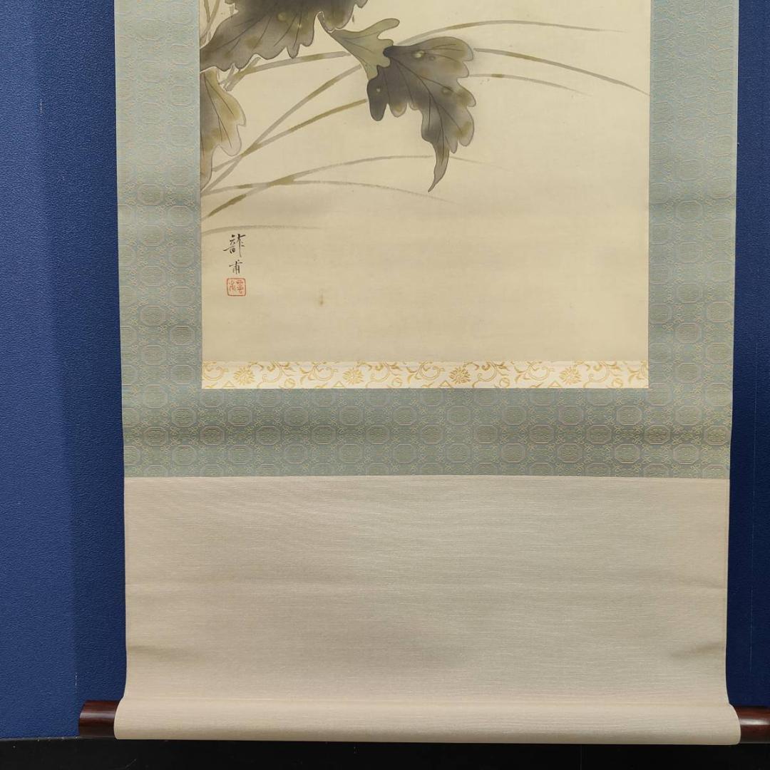 真作/龍畝/白蓉花図/花/桐共箱付布袋屋掛軸A-397