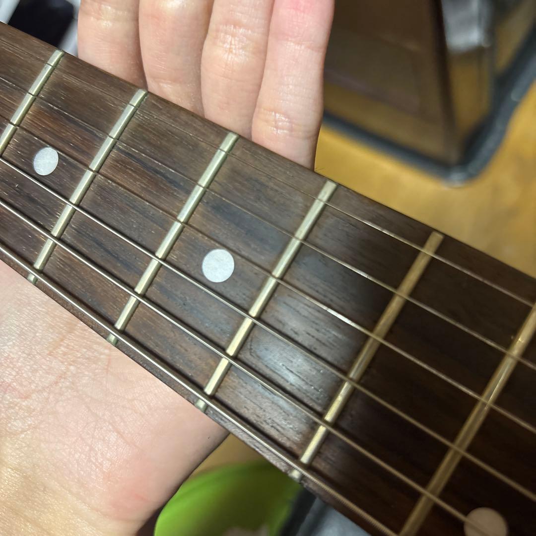 SCHECTER シェクター ／NV-III-24-BW ⚠️説明欄に注意書きあり