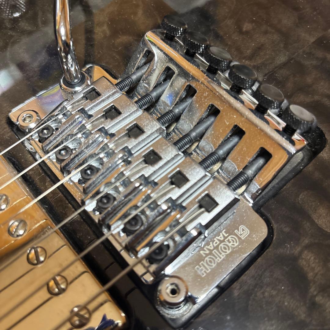 SCHECTER シェクター ／NV-III-24-BW ⚠️説明欄に注意書きあり