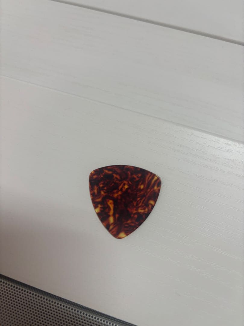 【美品‼️ケース付】Sepia Crue FG-10N アコースティックギター