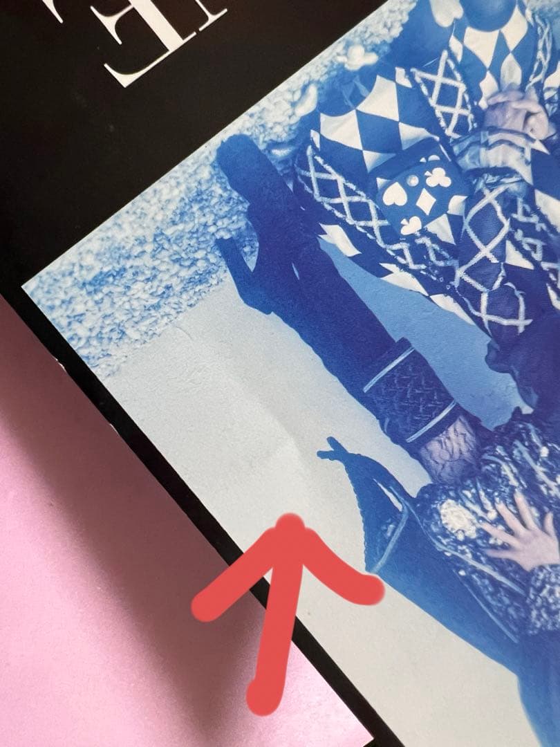 LAREINE ファンクラブ 会報 ラレーヌ Versailles KAMIJO - www