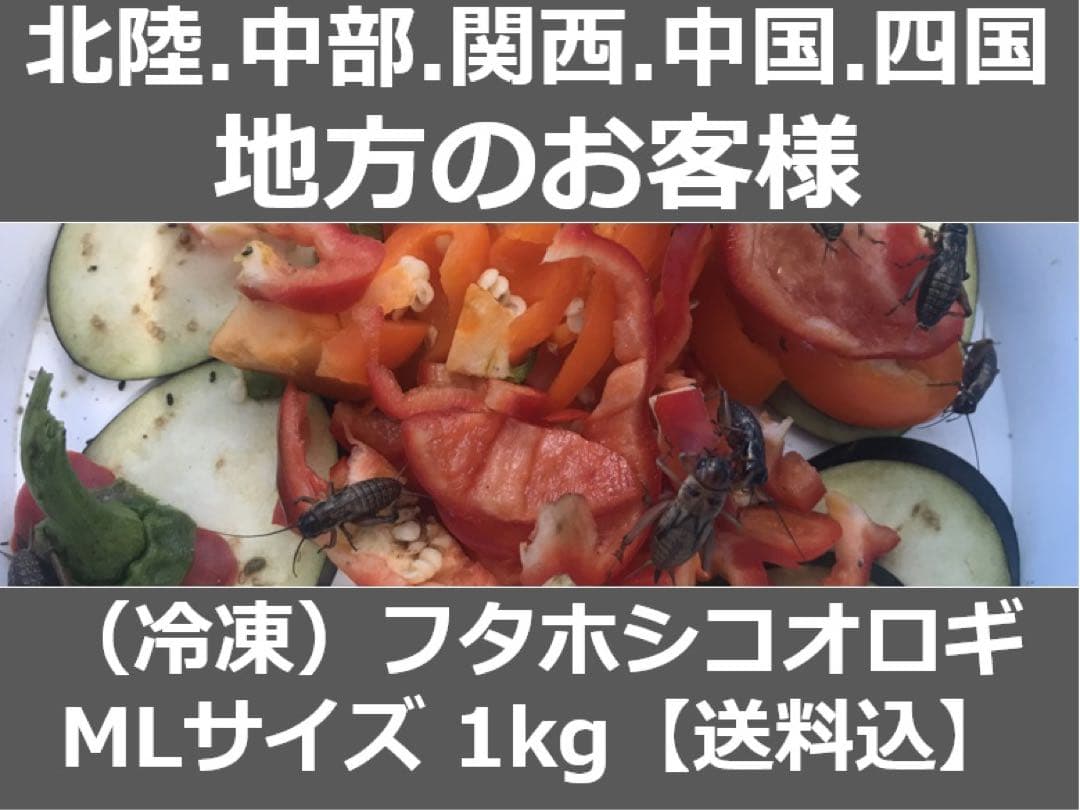 ☆合鴨なつお君様専用☆冷凍コオロギ1kg M・Lサイズ フタホシコオロギ
