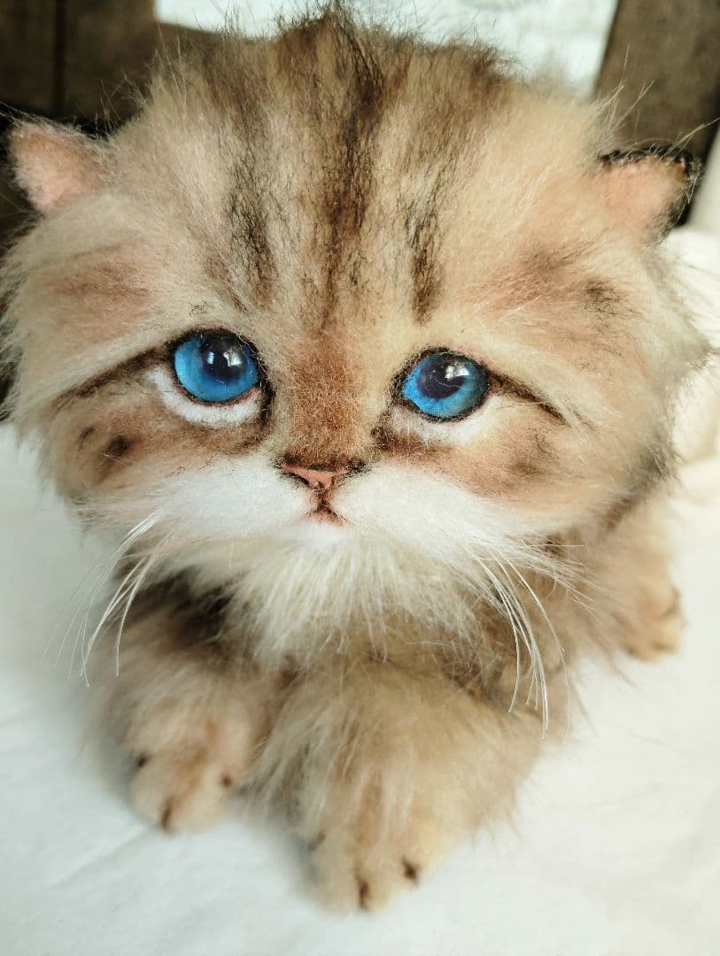 短足よちよちあんよ♡ミヌエット子猫ちゃん♡アートドール♡ぬいぐるみ♡ 短足よちよちあんよ♡ミヌエット子猫ちゃん♡アートドール♡ぬいぐるみ♡