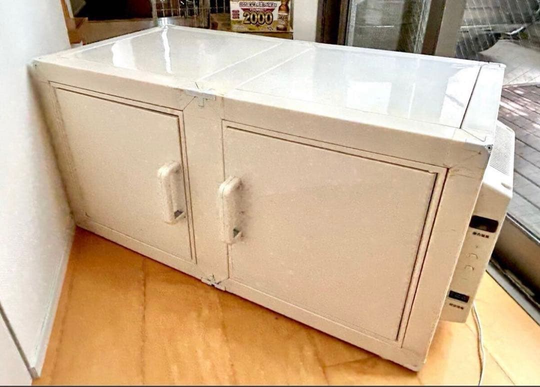 蝶標本 Xmasセール❗️カザリシロ ペア