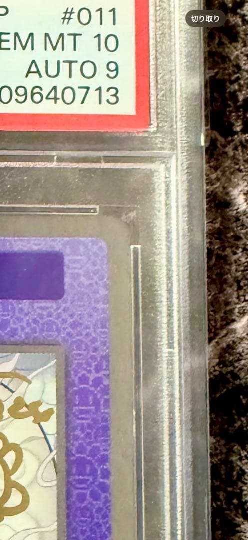 【直筆サイン入りPSA10】銀ふすま