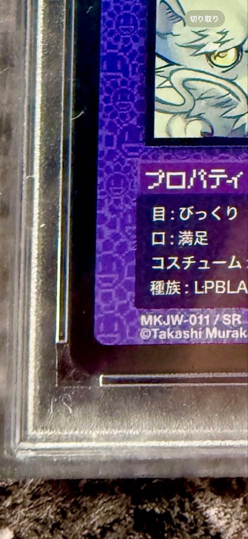 【直筆サイン入りPSA10】銀ふすま