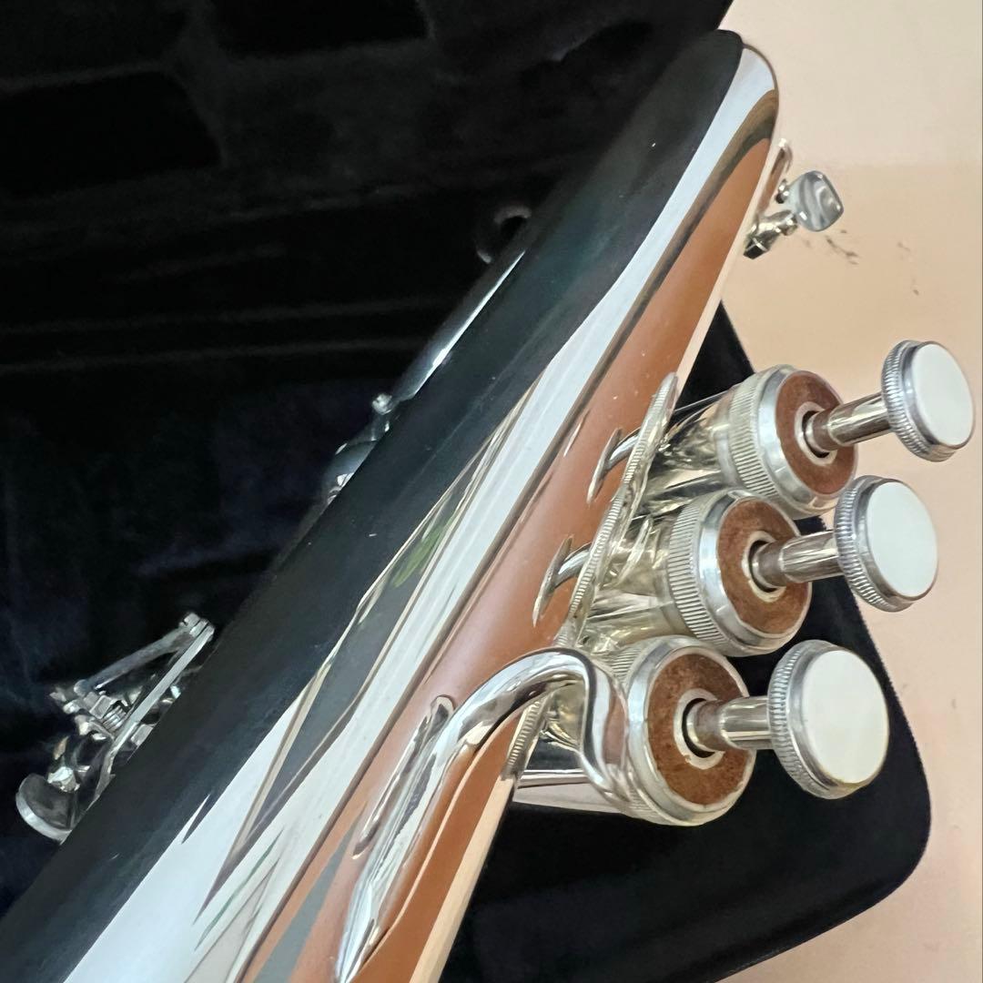 J-Michaelフリューゲルホルン 銀メッキ セミハードケース付き