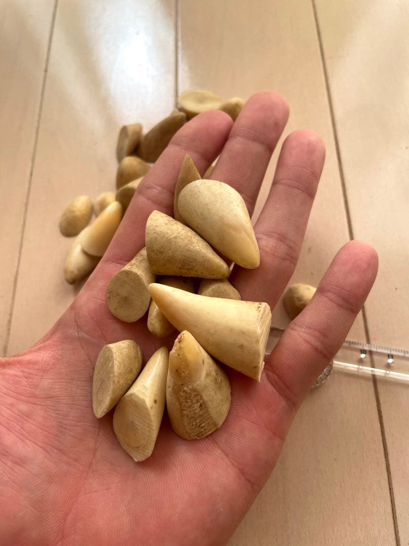 鯨歯　歯先のみ　マッコウ　根付け　ボーンカービング　イッカク　約114.76g