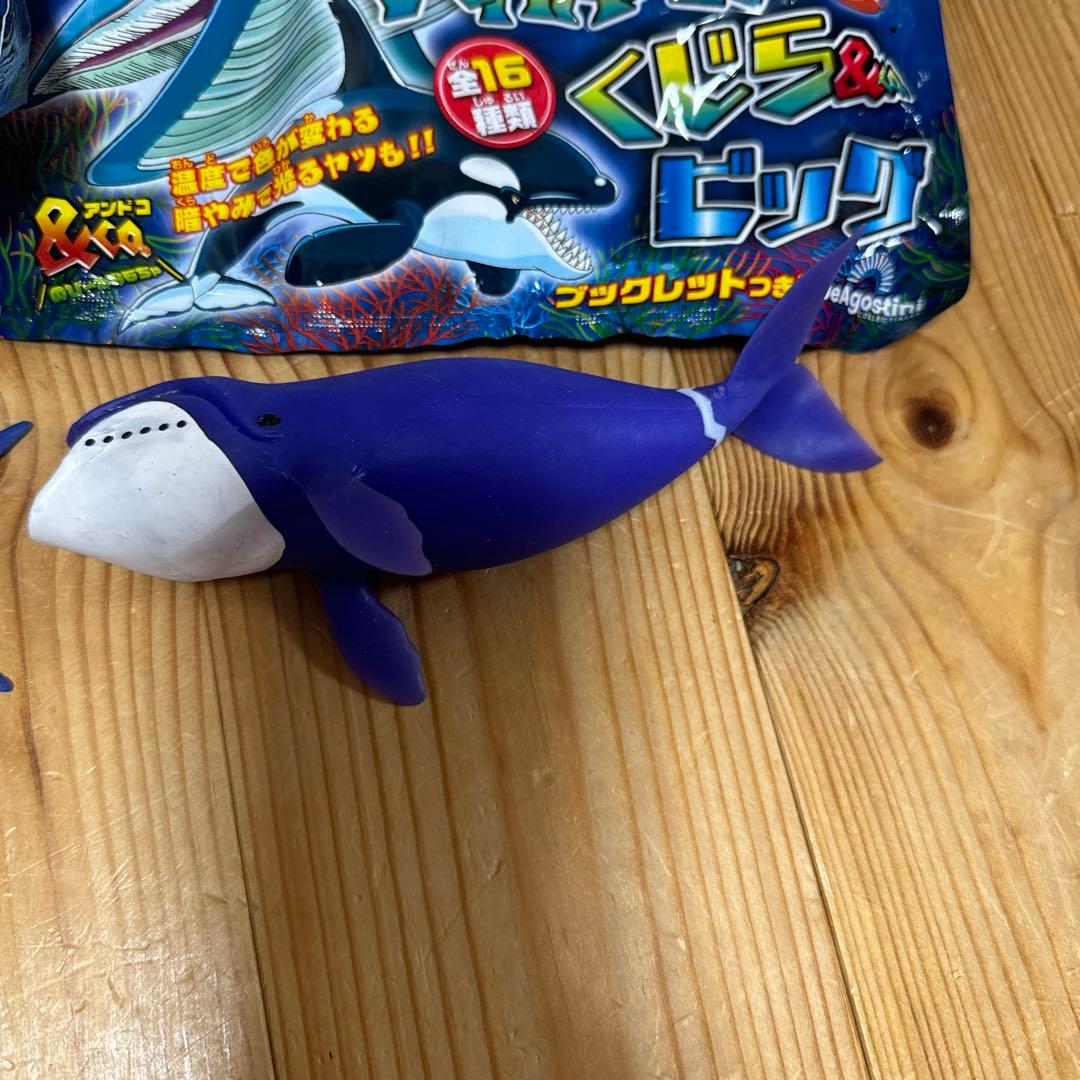 くじら&co.ビッグ トイザらスver！！ クロコダイル&co. アンドコ