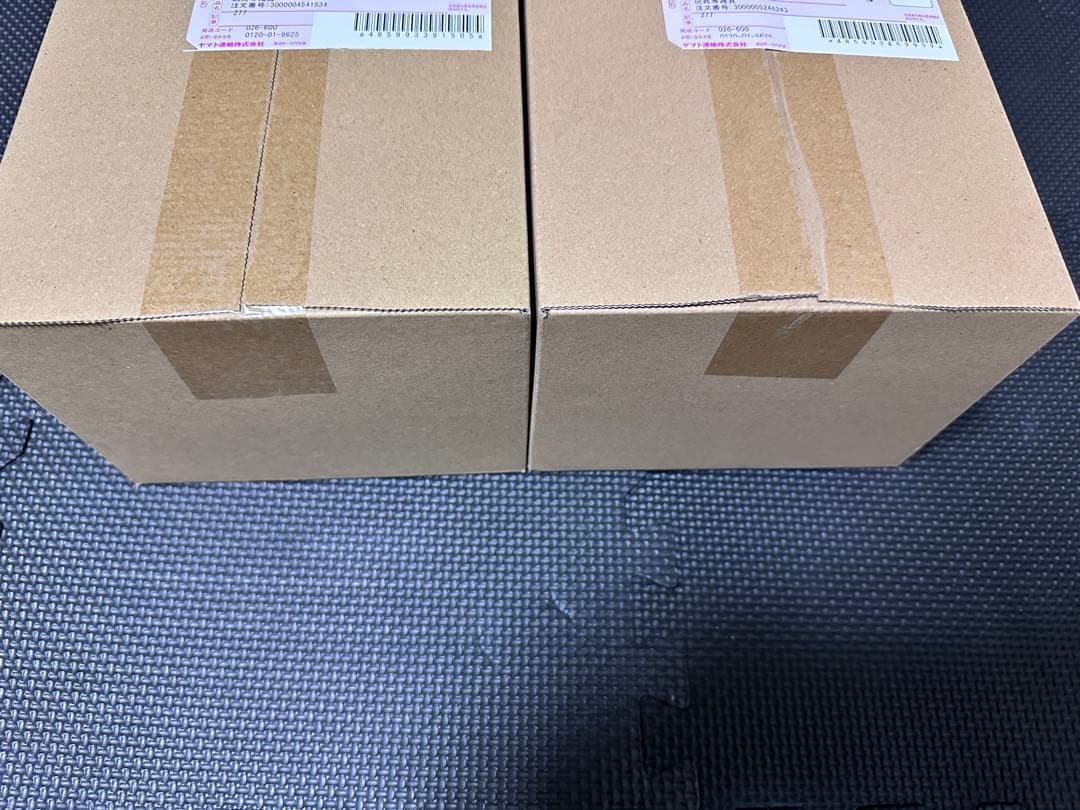 【新品完全未開封！】 ポケモンセンタートウホク　スペシャル2BOX！！！