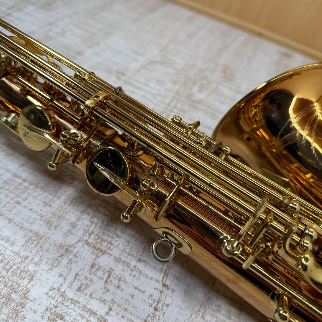 YANAGISAWA ヤナギサワ　アルトサックス A-WO2 ケース付き