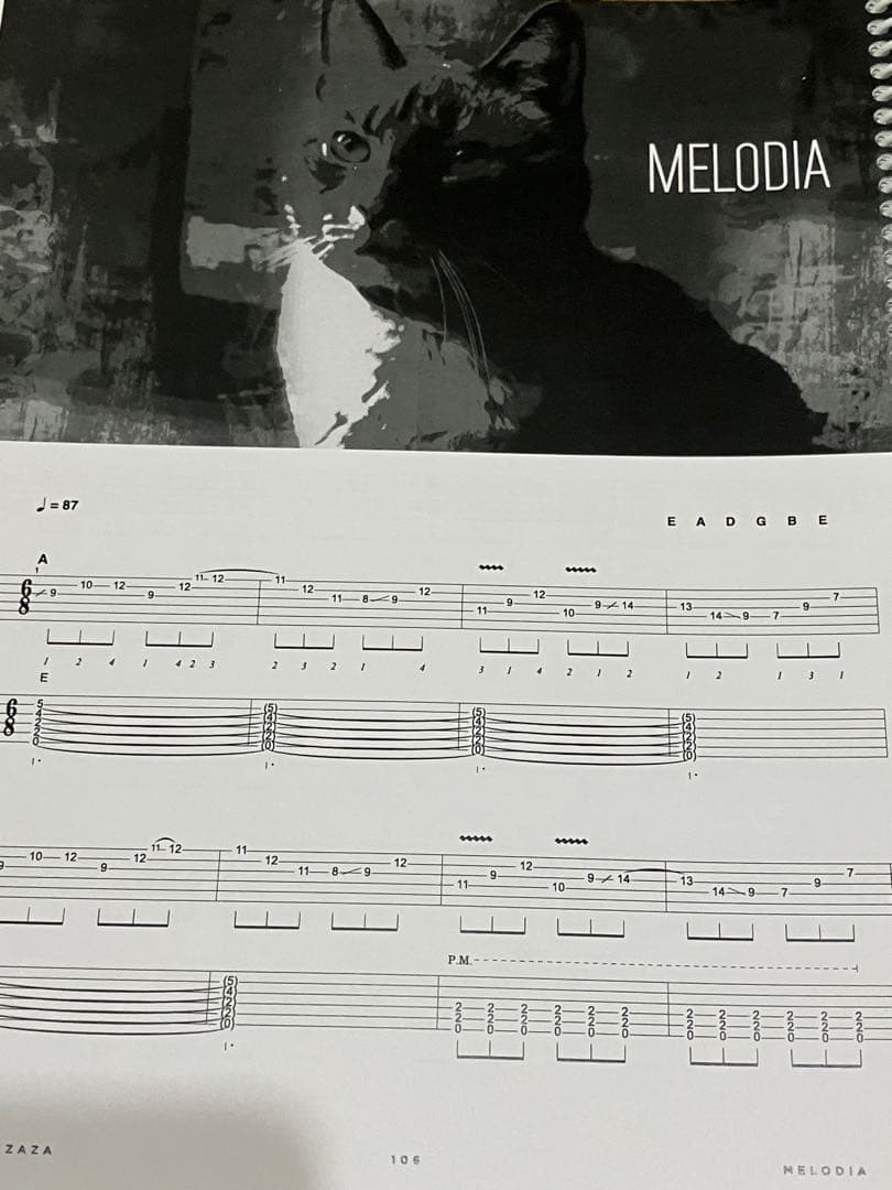 NEIL ZAZA ギタースコアブック