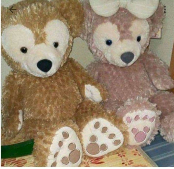 ダッフィー&シェリーメイ　M