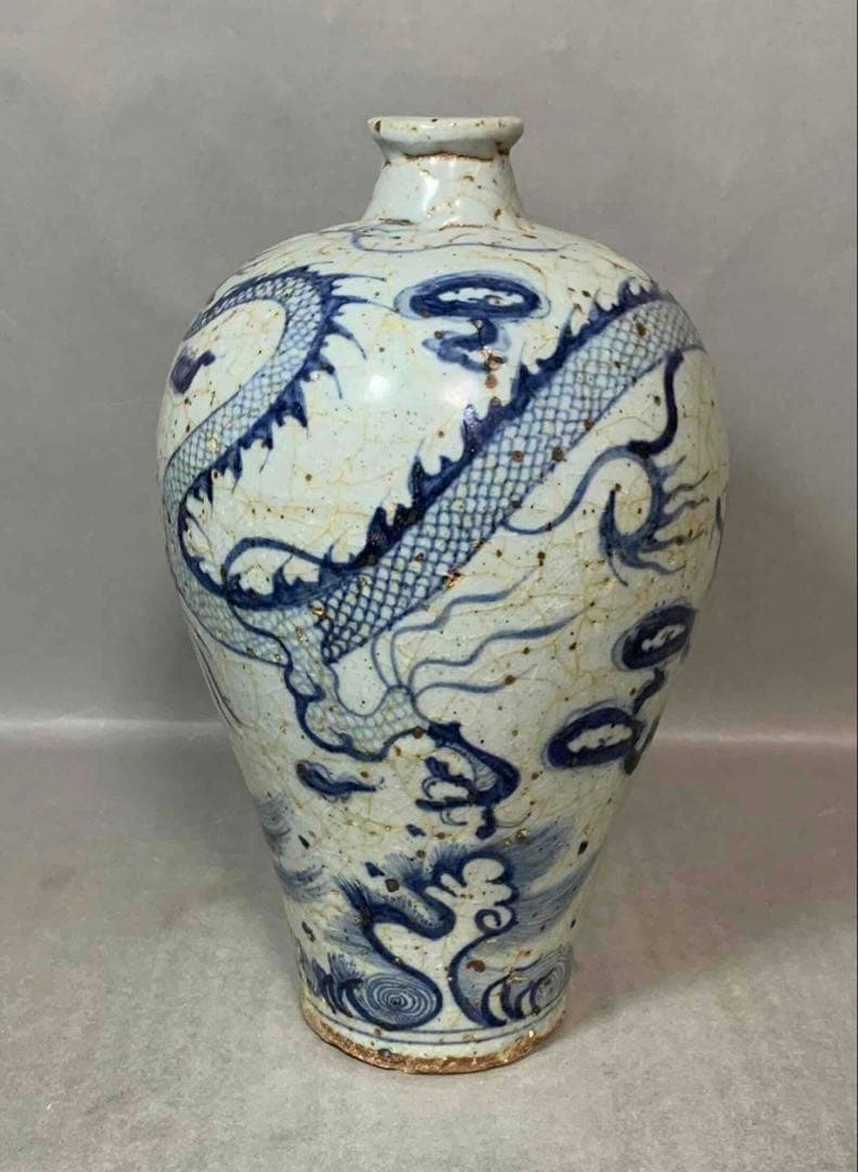 中国 染付龍絵梅瓶　f2250917