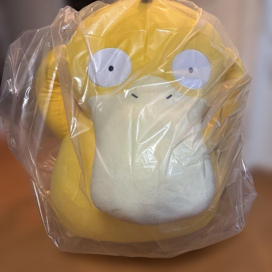 等身大コダック