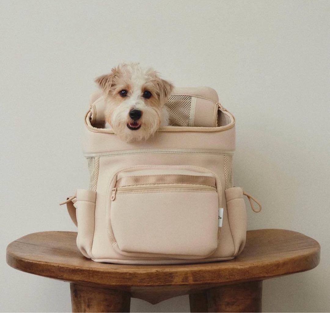 city dog 丸洗いキャリーバック（beige） city dog 丸洗いキャリーバック（beige） city dog 丸洗いキャリー