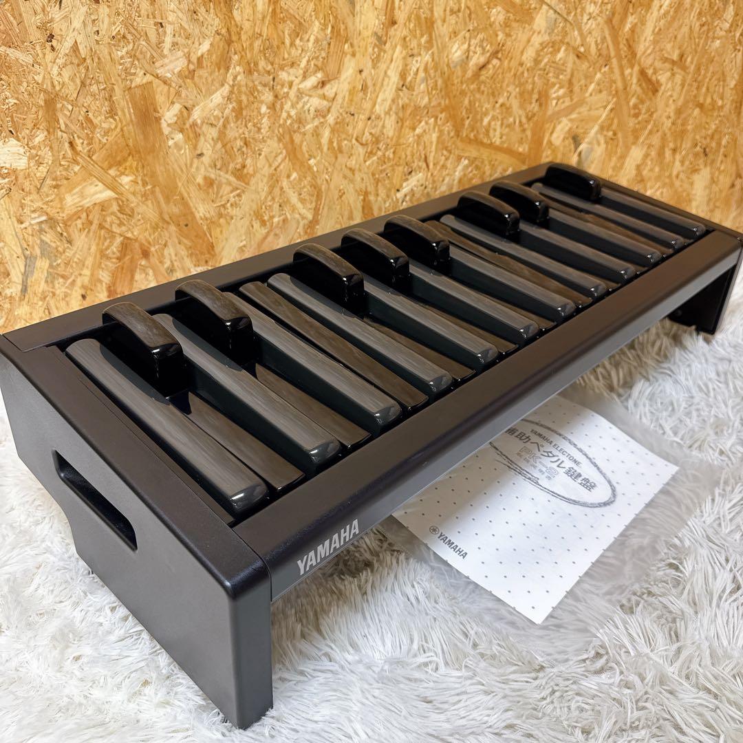 初音ミクv4x & synthesizer v studio pro