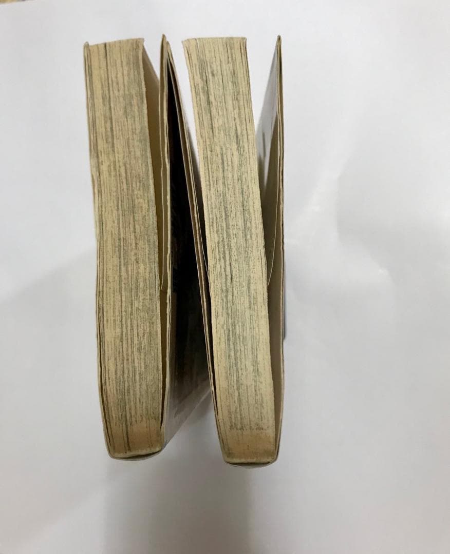 限時⭐️特価【初版】ワンピース one piece 1 、2巻 初版