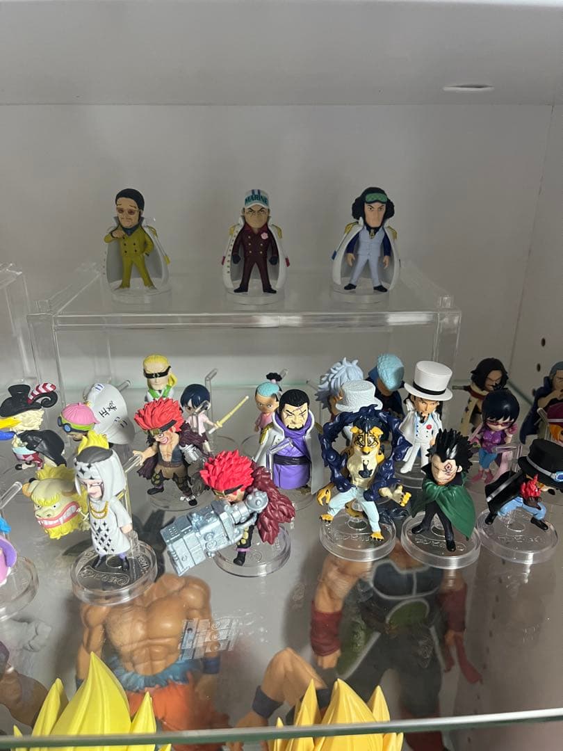 ワンピの実 56体