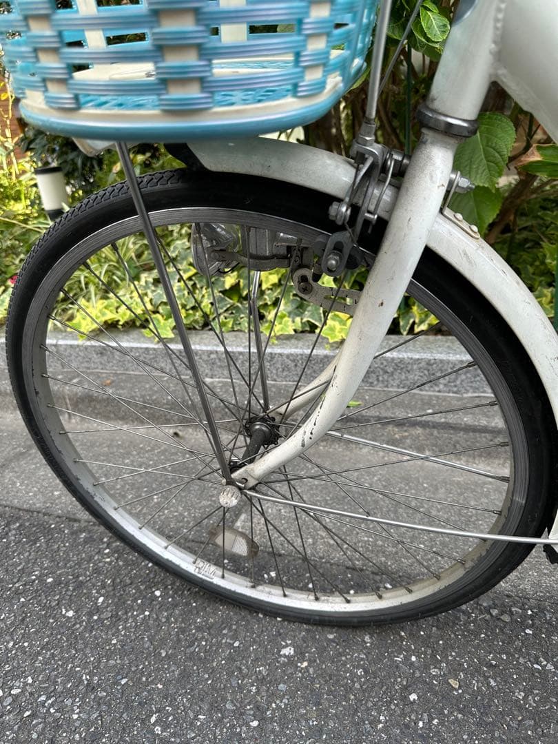 文京区引き取り限定です⭐︎ 水色 ブリヂストン ECOPAL グリーン 24インチ