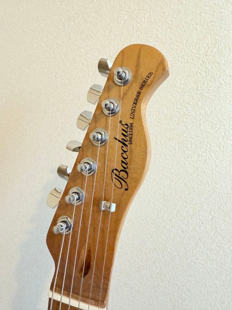 【ほぼ新品】Bacchus BTE-1-RSM/M BLK