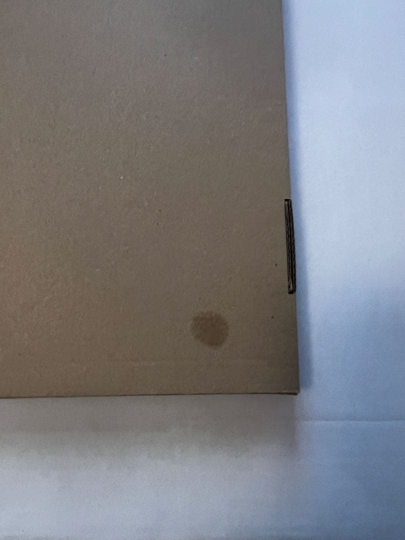 乃木坂46 乃木フェス 直筆サイン入りオリジナルキャラファイングラフ 柴田柚菜