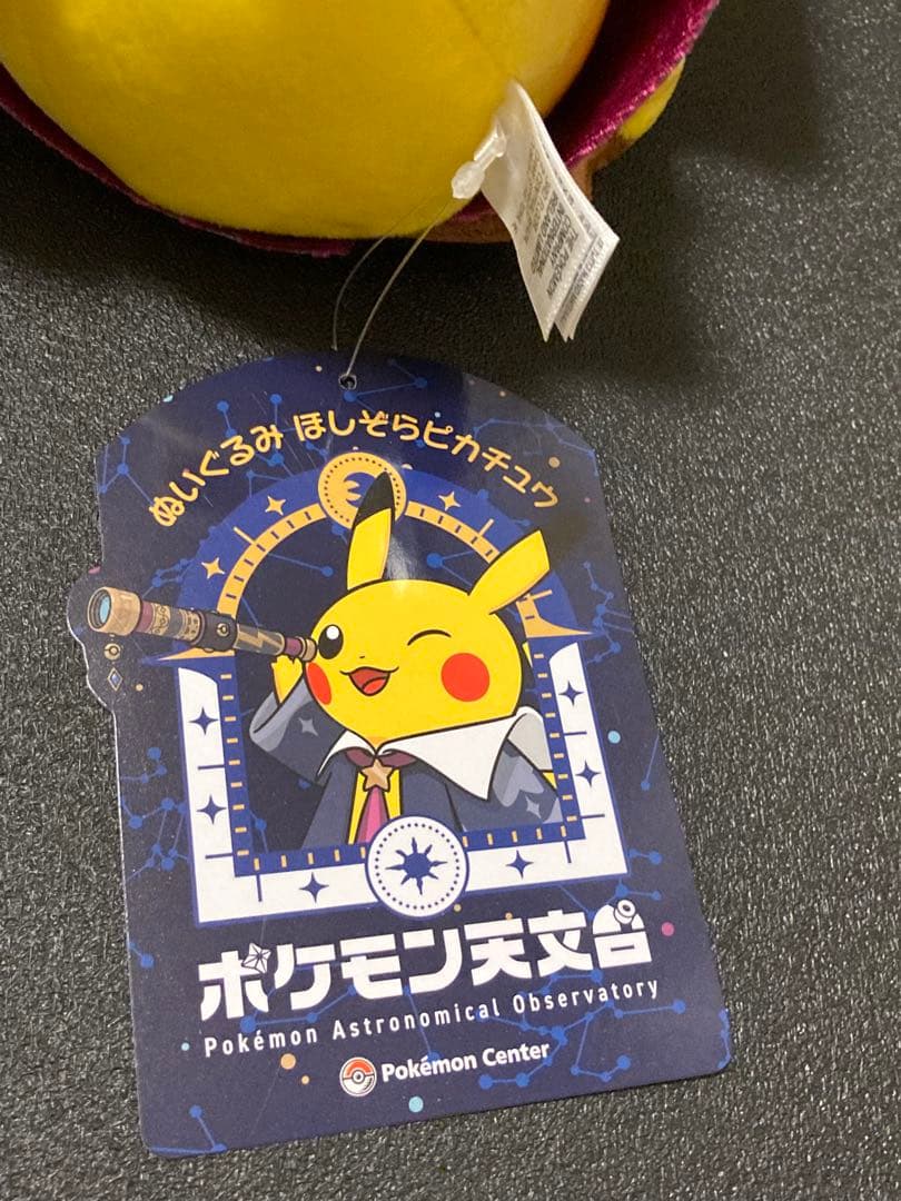 ポケモン天文台　ほしぞらピカチュウぬいぐるみ　10体セット　Pokémon