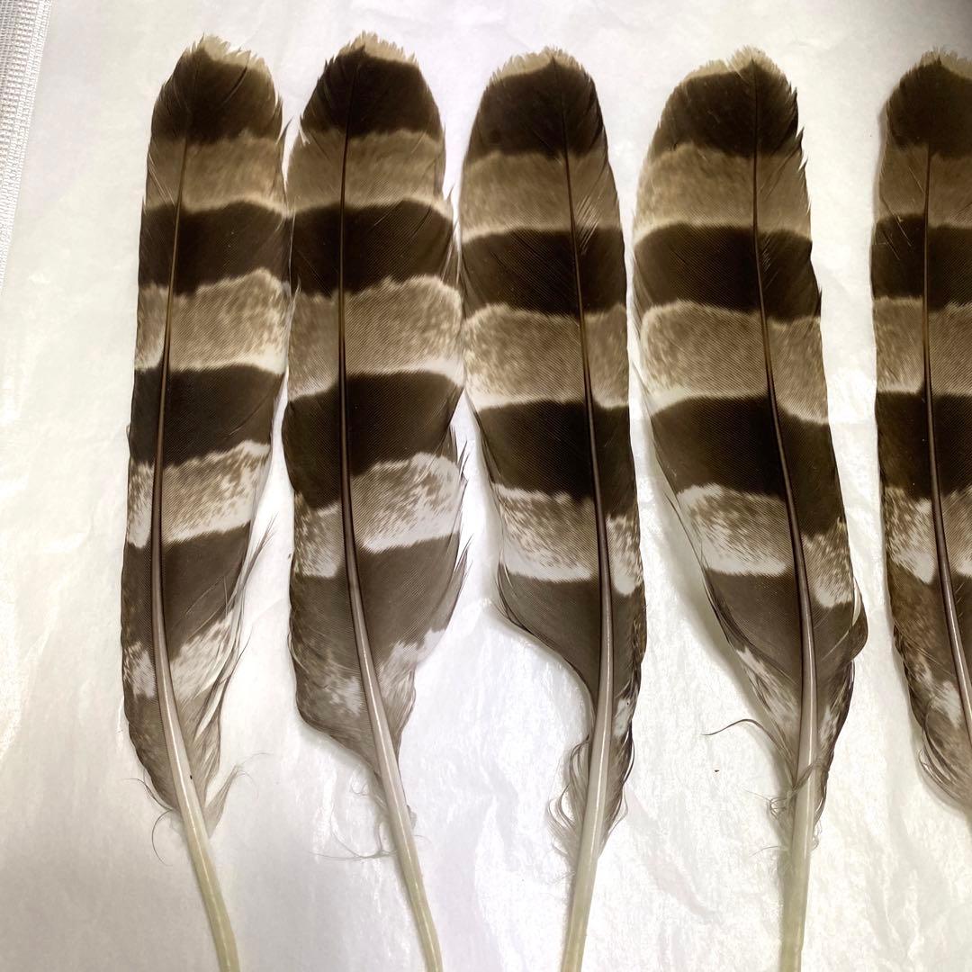 ハンドメイド　リメイク　飾り　インテリア　弓道　羽　替え羽　猛禽類　鷹の羽根
