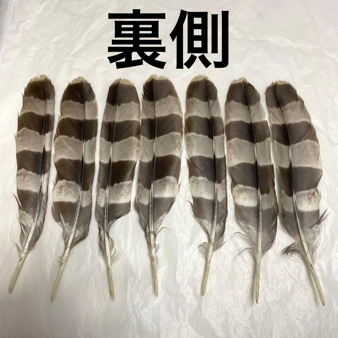 ハンドメイド　リメイク　飾り　インテリア　弓道　羽　替え羽　猛禽類　鷹の羽根