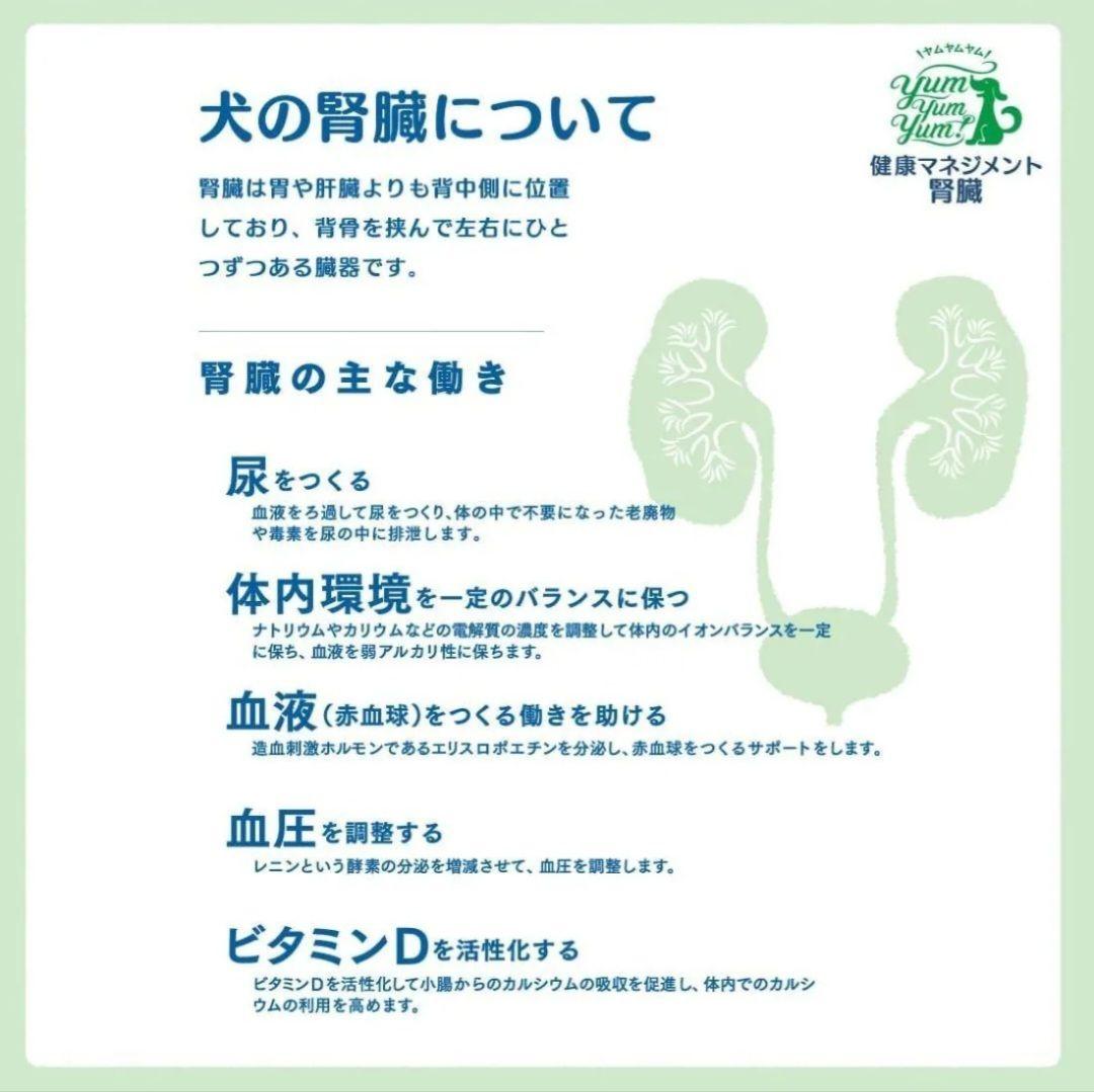 yumyumyum！ヤムヤムヤム！健康マネジメント 腎臓 1.3kg ３袋