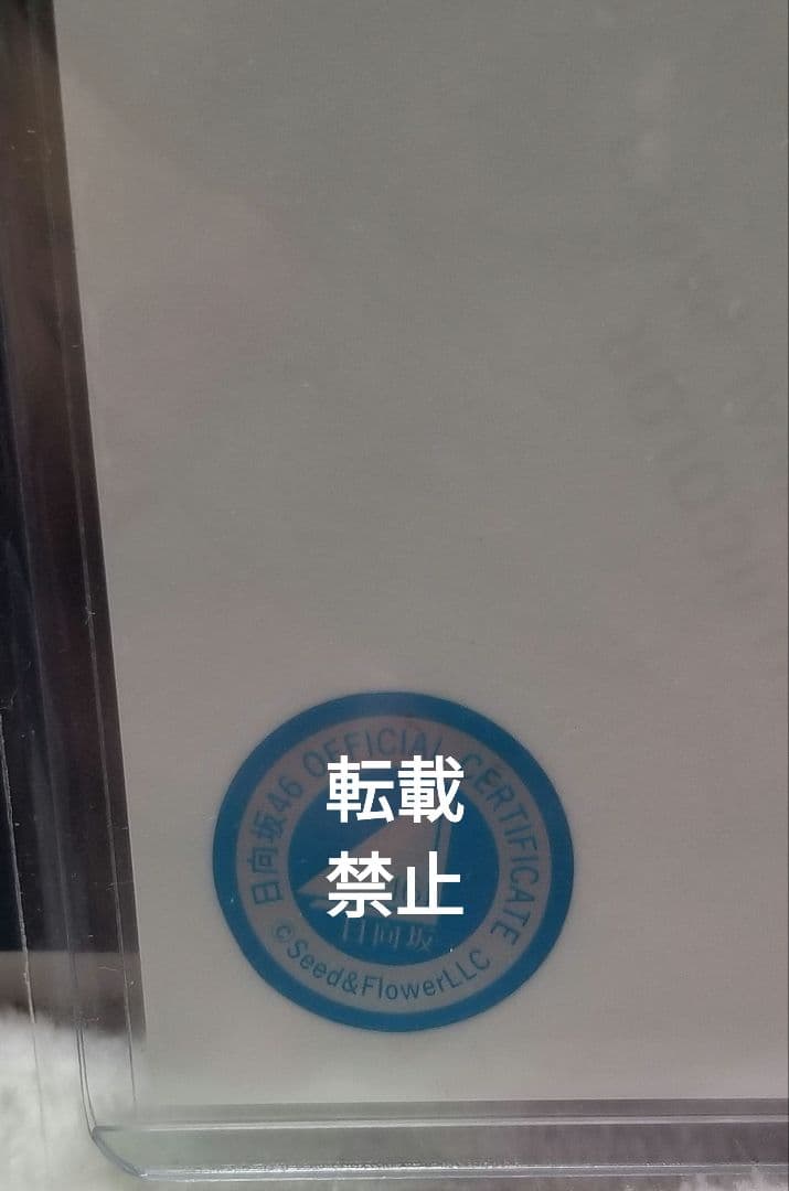 日向坂46 金村美玖 サイン 入り生写真 4回目のひな誕祭 日