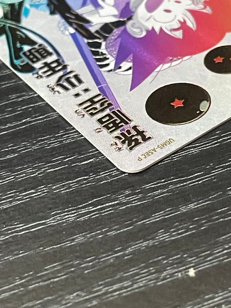 SDBH ugm5-asec p パラチビ