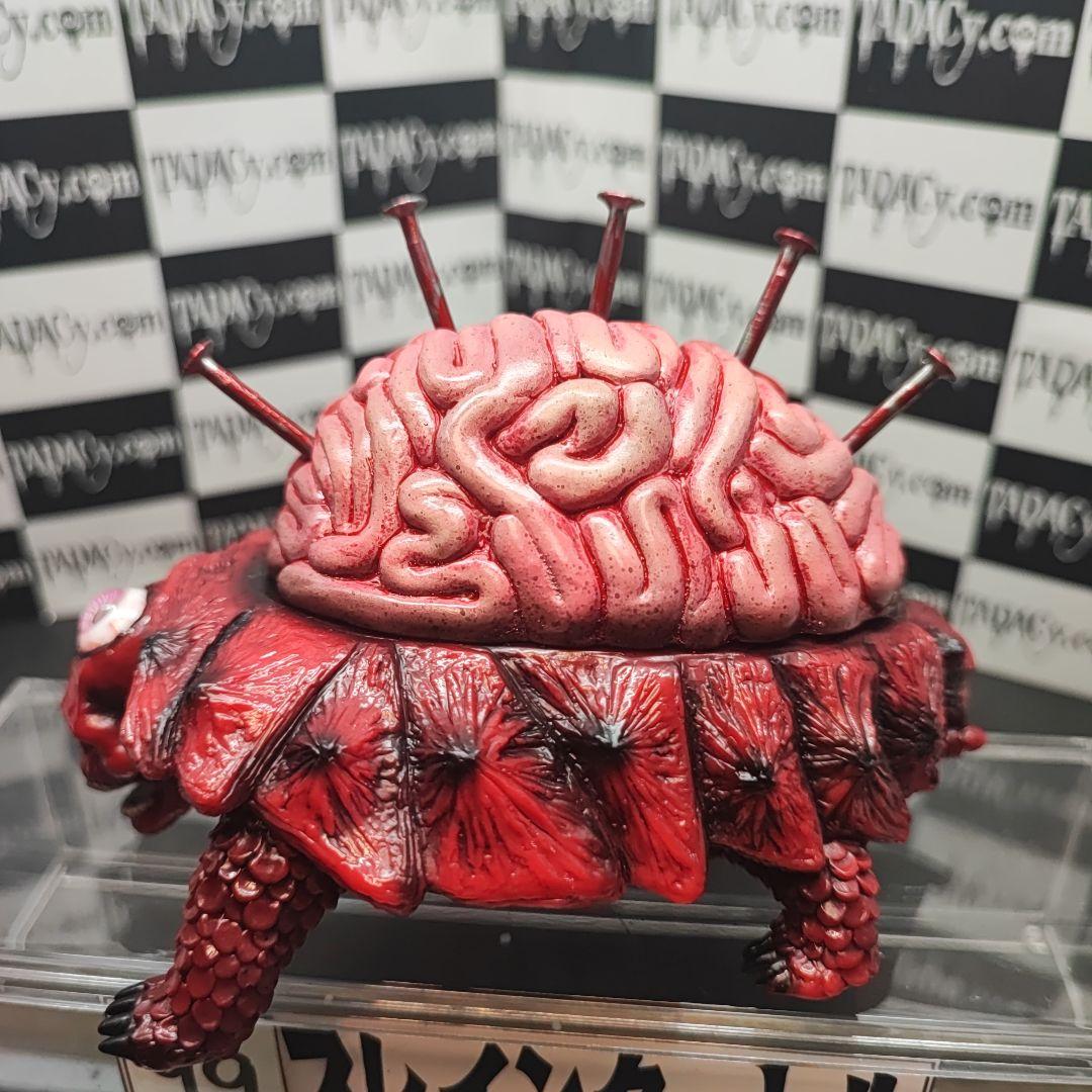 99ブレインタートル