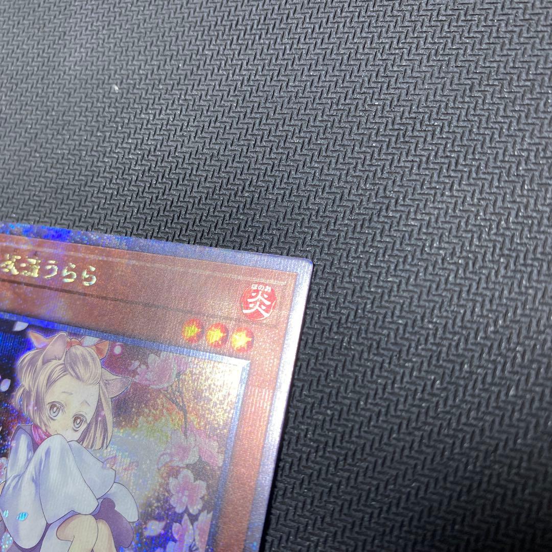 遊戯王 灰流うらら 25th シークレット　イラスト違い