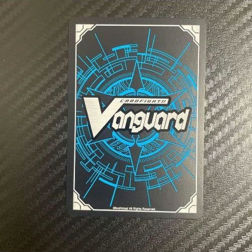 匿名配送】ヴァンガード ヒスコレ 嵐を超える者 サヴァス SP 匿名配送