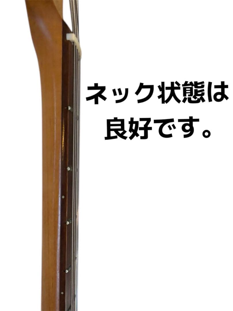 和材テレキャスター　個人ビルド