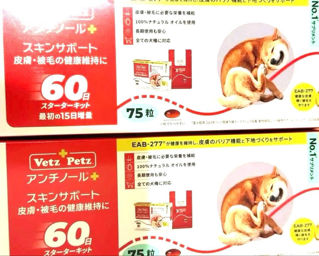 2箱 アンチノールプラス 150粒 スキンサポート 新製品 アンチノール