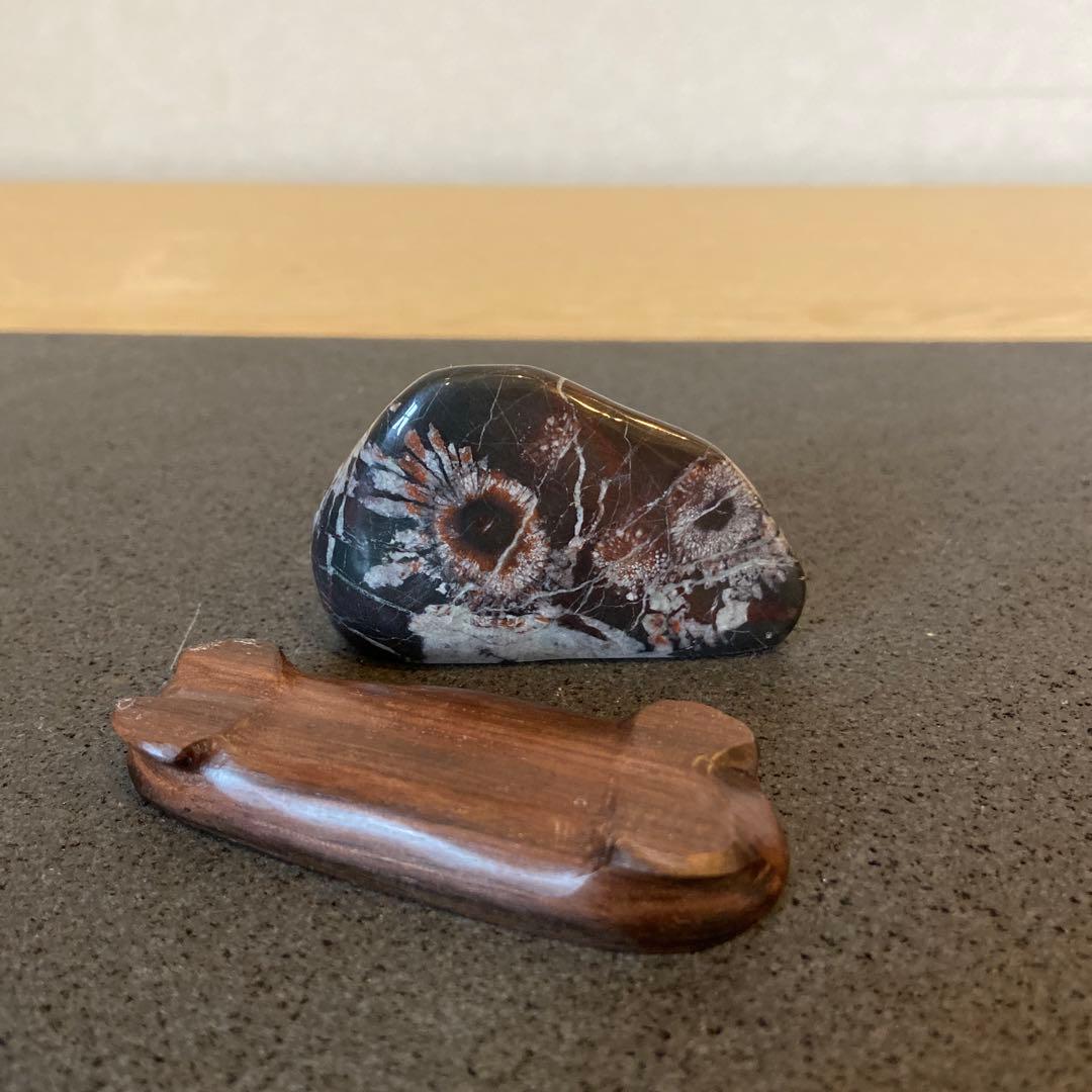 菊花石 ☆鑑賞石 菊花石 水石 盆石 suiseki