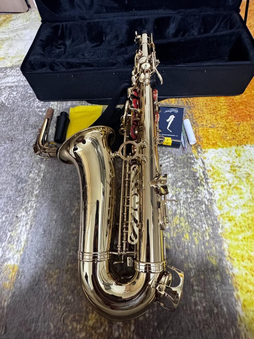 や*す様 Kaerntner アルトサクソフォンセット