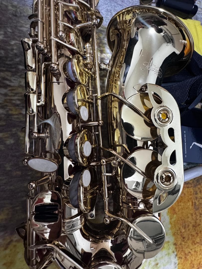 や*す様 Kaerntner アルトサクソフォンセット